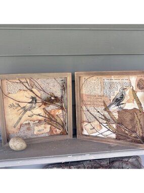 Framed 10x10 Bird Shadow Box Art – Naturalist Style Assemblage - 2 in Series